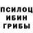 Псилоцибиновые грибы Magic Shrooms Youssef choura