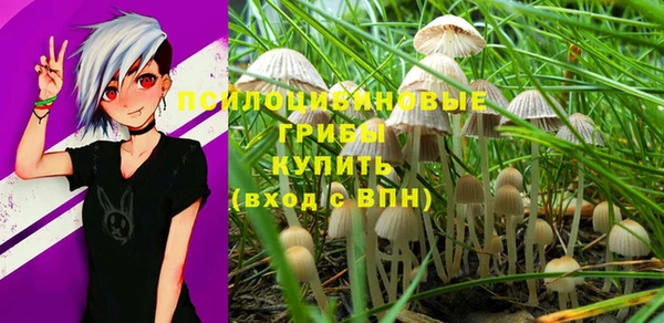 меф Мегион