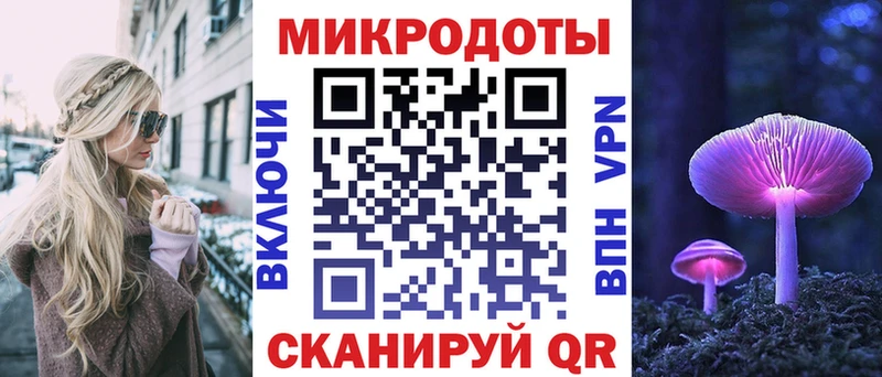 Псилоцибиновые грибы GOLDEN TEACHER  сколько стоит  блэк спрут как войти  Ершов 
